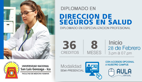 DIRECCIÓN DE SEGUROS EN SALUD